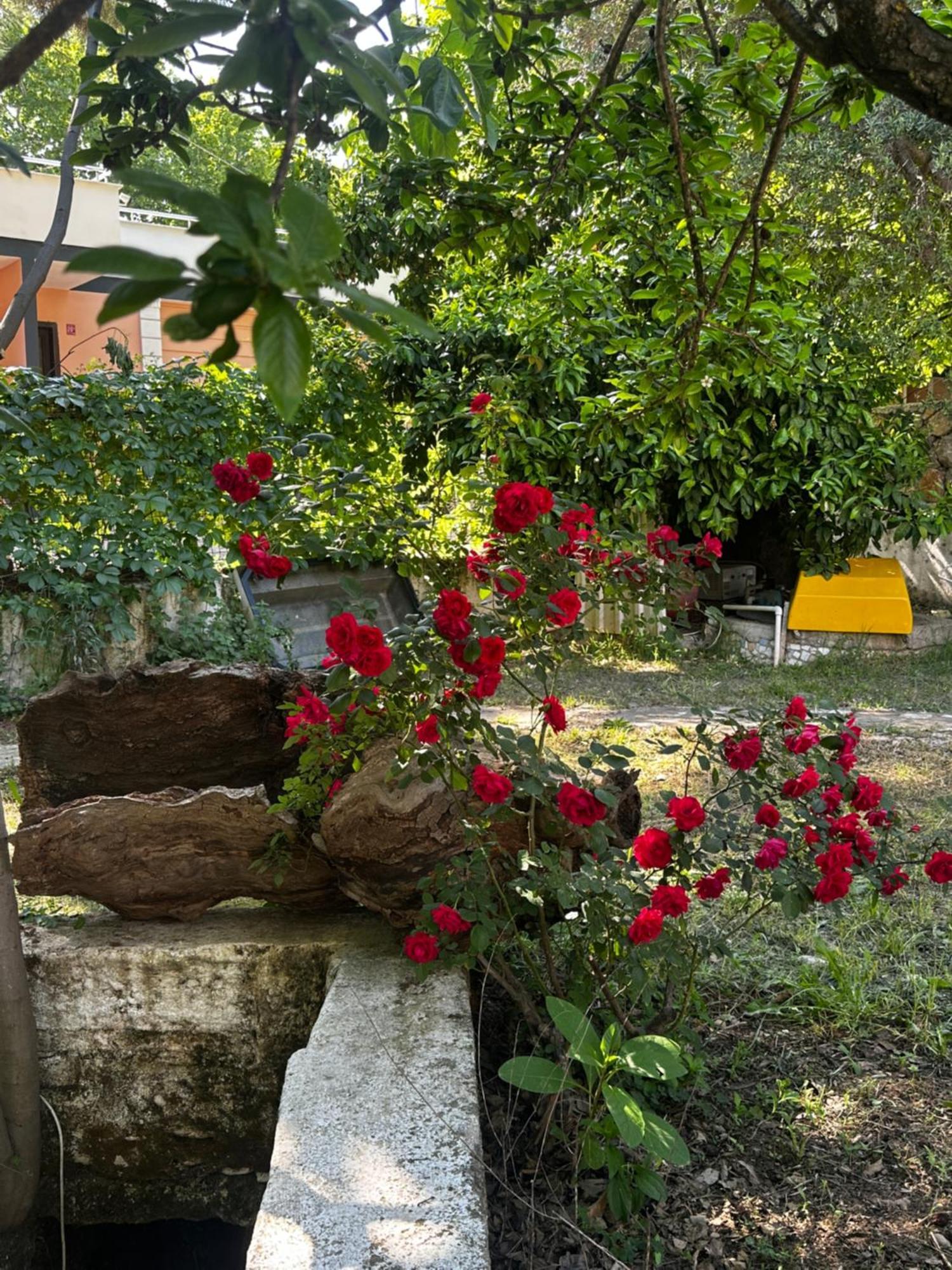 Sakliderebutikotel Edremit  Extérieur photo